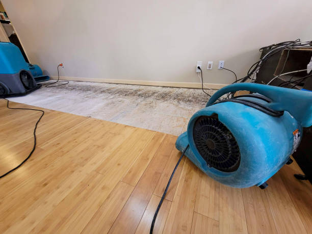 Professional Water Damage Repair technician working in Valyermo, CA